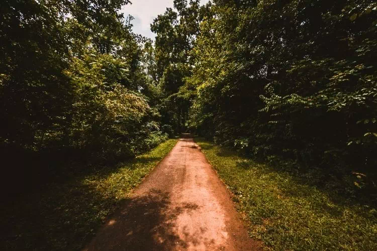 Chemin de servitude